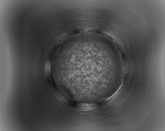 X0000093510191200710121538
