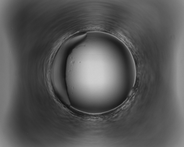 X0000093510193200710121537