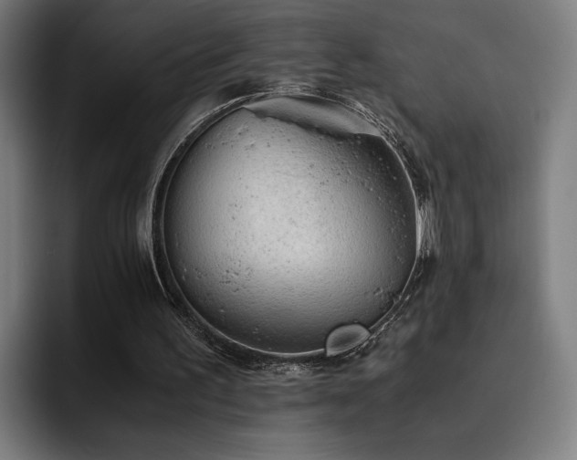 X0000093510195200710121537