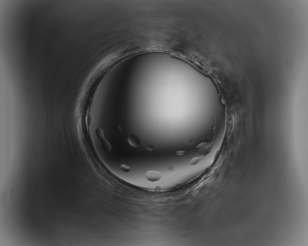 X0000093510197200710121537