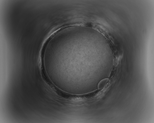 X0000093510198200710121537