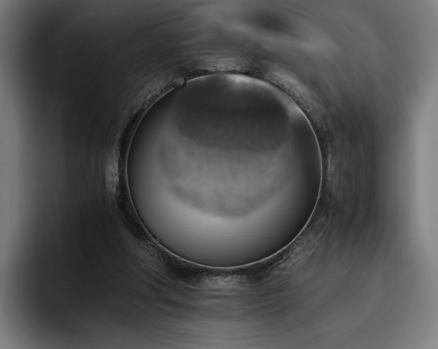 X0000093510202200710121537