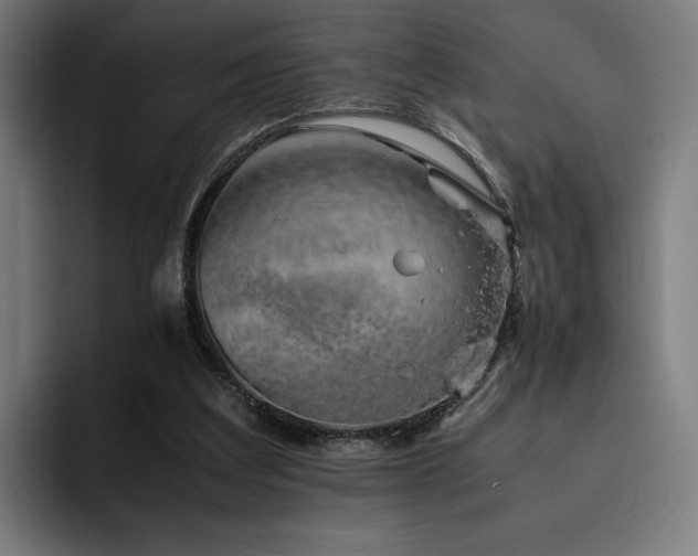 X0000093510203200710121537