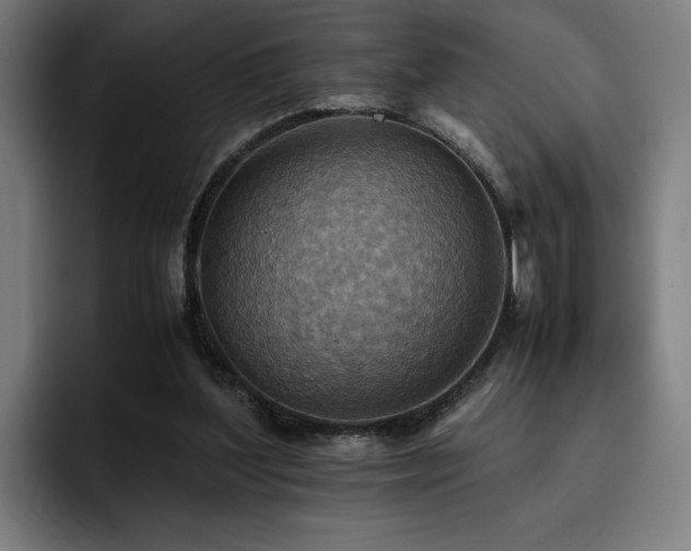 X0000093510204200710121537
