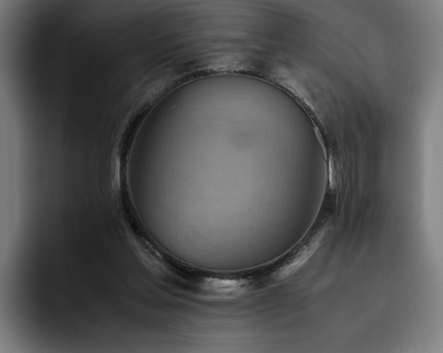 X0000093510205200710121537