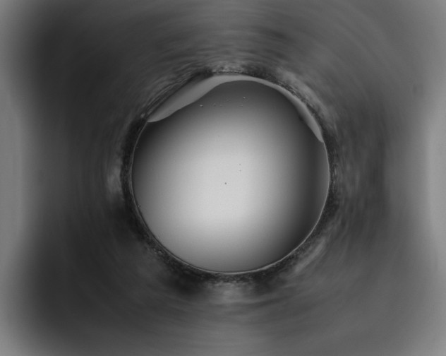 X0000093510209200710121537