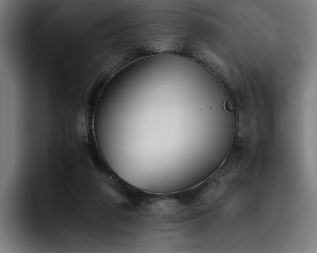 X0000093510210200710121537