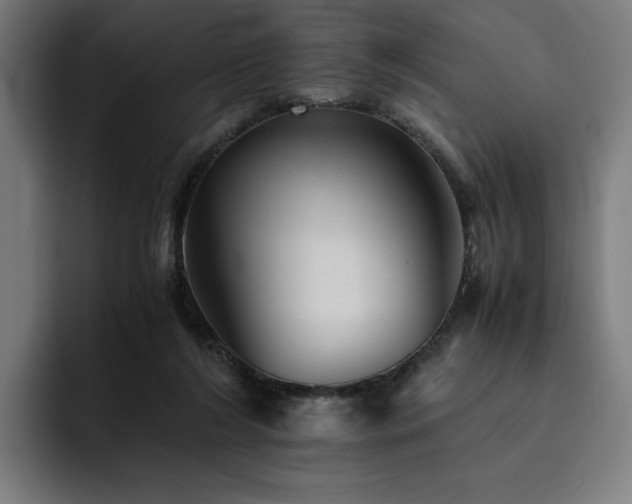 X0000093510212200710121537