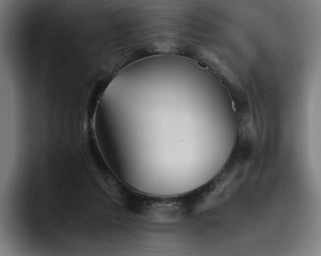 X0000093510213200710121537