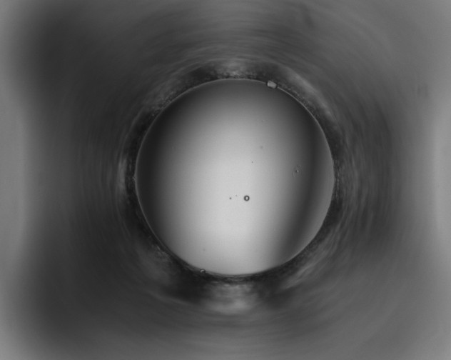 X0000093510217200710121537