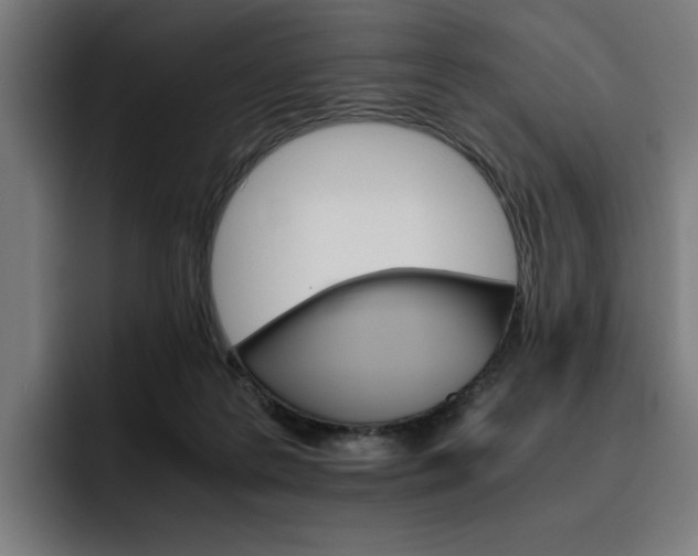 X0000093510219200710121537