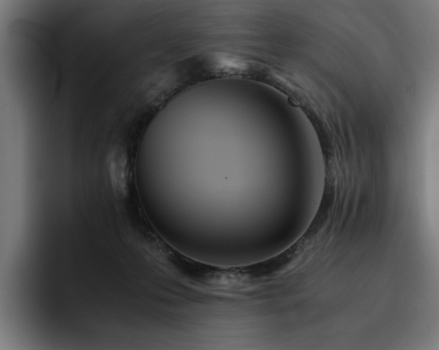 X0000093510223200710121537