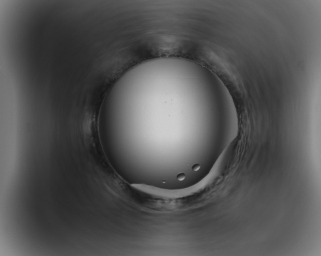 X0000093510225200710121537
