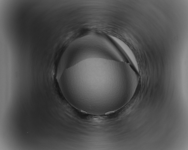 X0000093510229200710121537