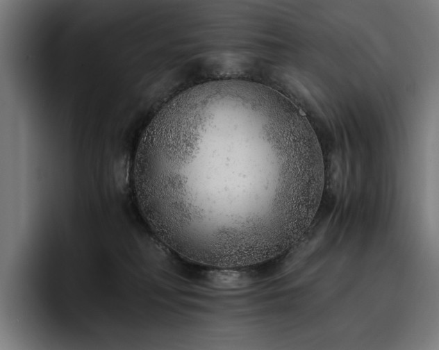 X0000093510230200710121537