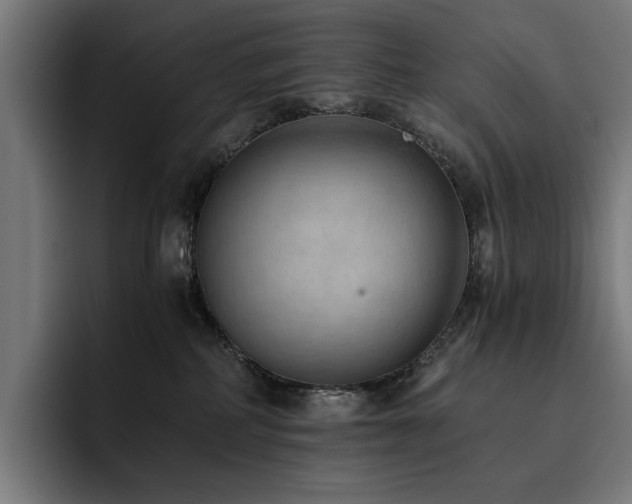 X0000093510234200710121537