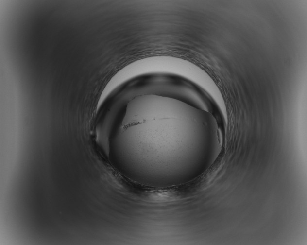 X0000093510235200710121537