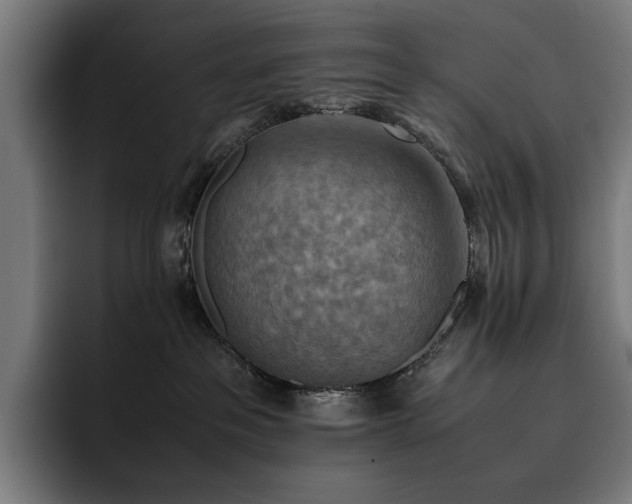 X0000093510237200710121537