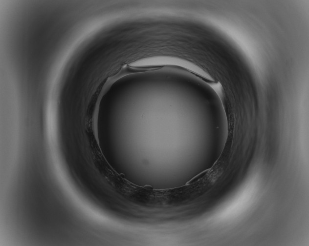 X0000093510239200710121537