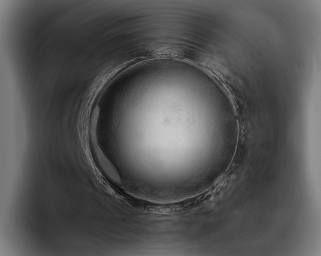 X0000093510241200710121536