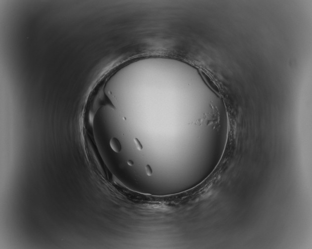 X0000093510244200710121536