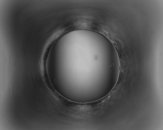 X0000093510245200710121536