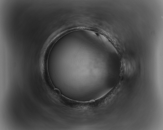 X0000093510247200710121536