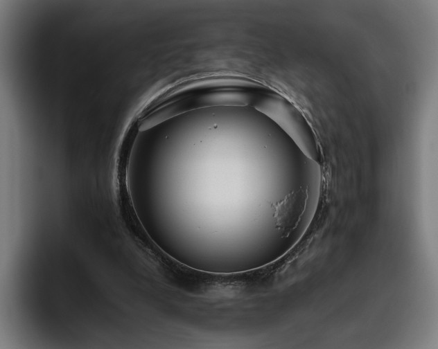 X0000093510248200710121536