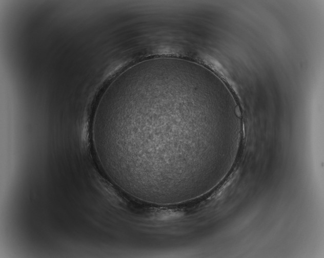 X0000093510249200710121536