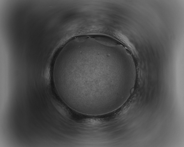 X0000093510250200710121536