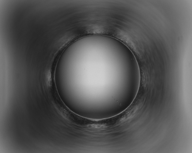 X0000093510251200710121536