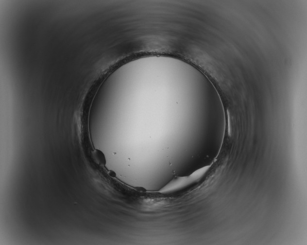 X0000093510252200710121536