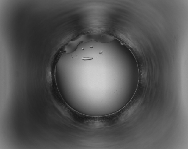 X0000093510254200710121536