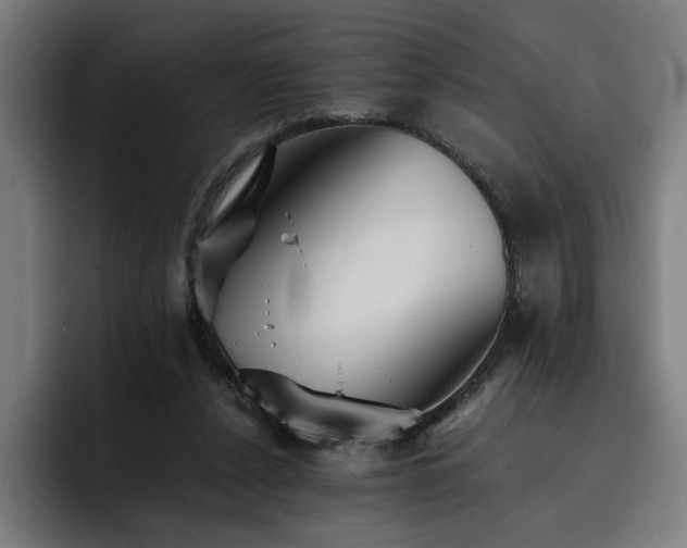 X0000093510256200710121536