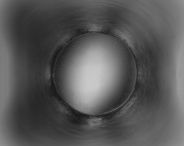 X0000093510257200710121537
