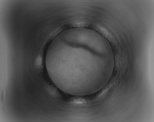 X0000093510258200710121537