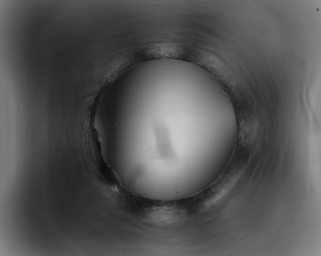 X0000093510259200710121537