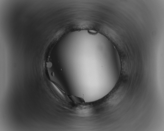X0000093510260200710121537
