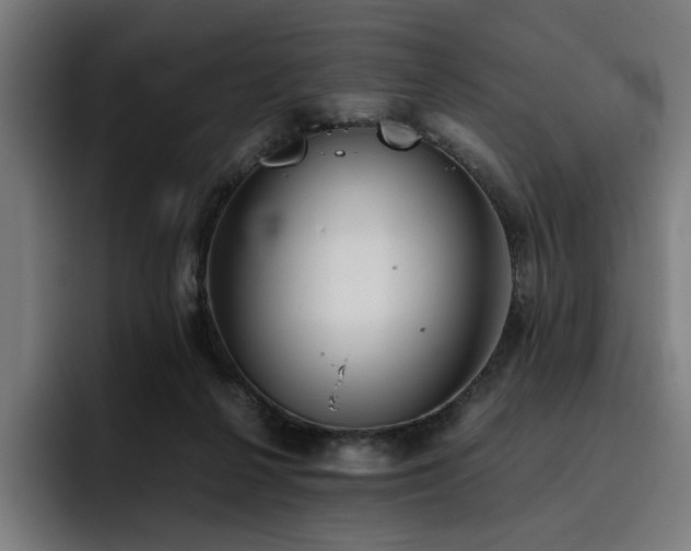 X0000093510264200710121537