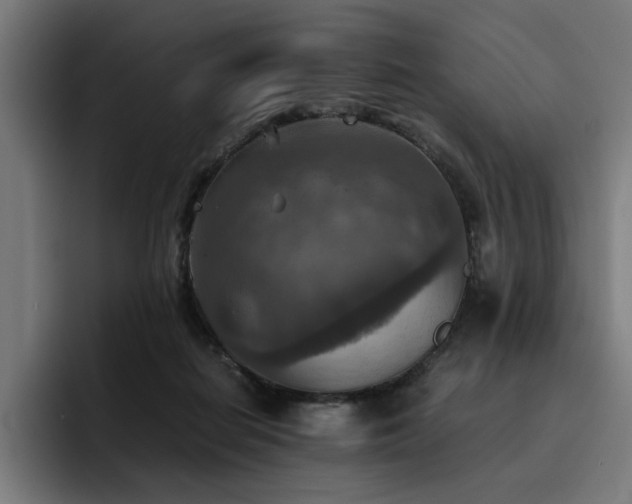 X0000093510266200710121537