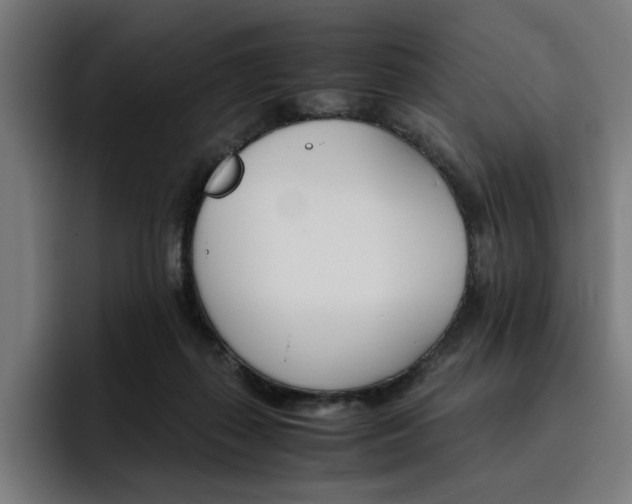 X0000093510267200710121537