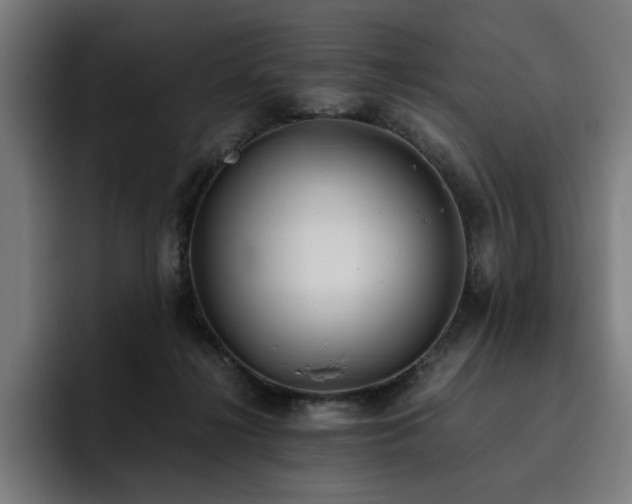 X0000093510268200710121537