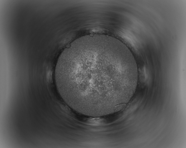 X0000093510269200710121537