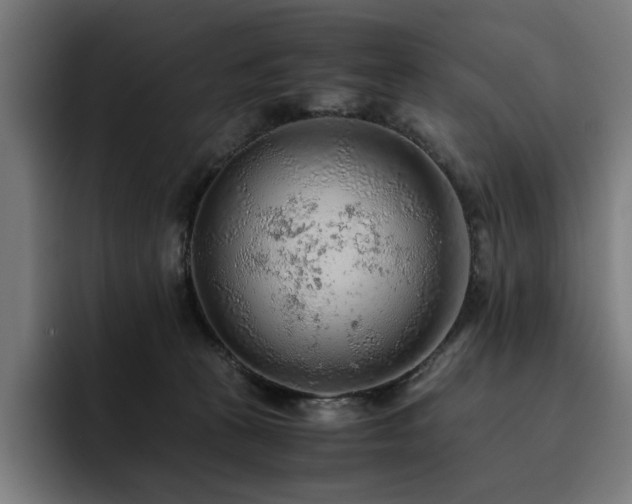 X0000093510273200710121537