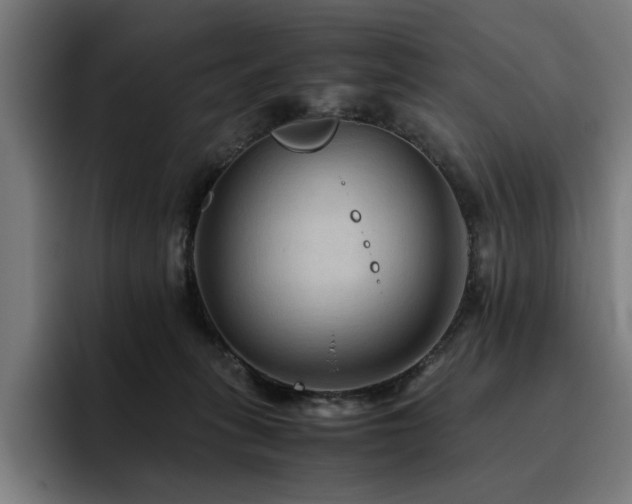 X0000093510275200710121537