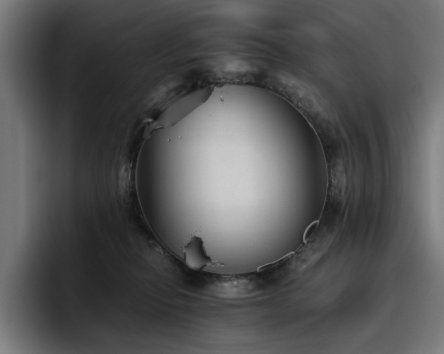 X0000093510278200710121537