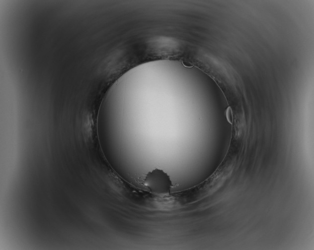 X0000093510279200710121537