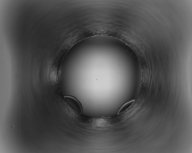 X0000093510287200710121537