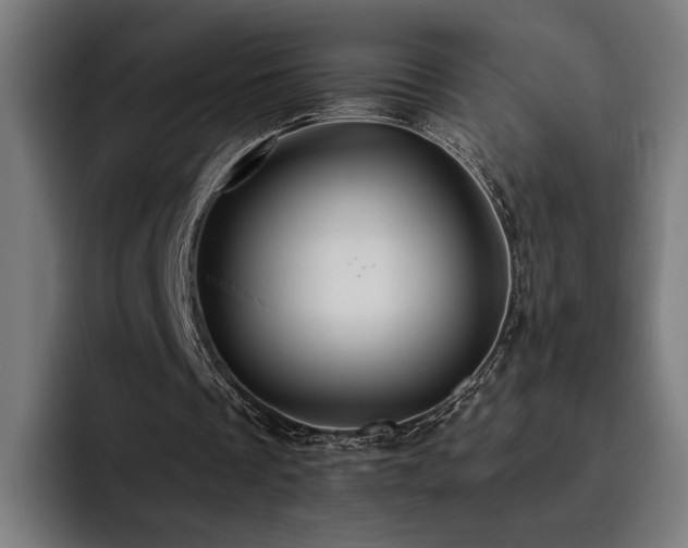 X0000093510289200710121536