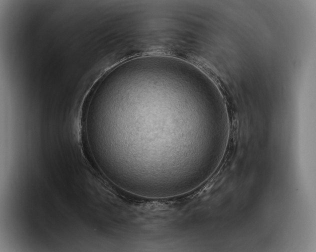 X0000093510290200710121536